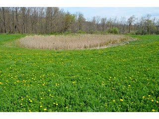 Property photo 113 - REAL ESTATE & PERSONAL PROPERTY AUCTION - 23.5+/- ACRES OFFERED IN 3 TRACTS OR COMBINATIONS IN EAST ALLEN COUNTY